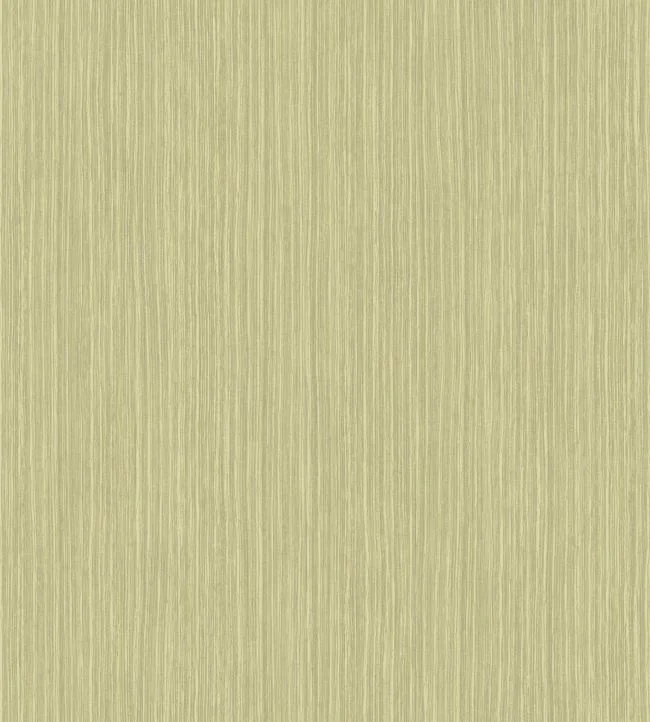 Papel de Parede Importado