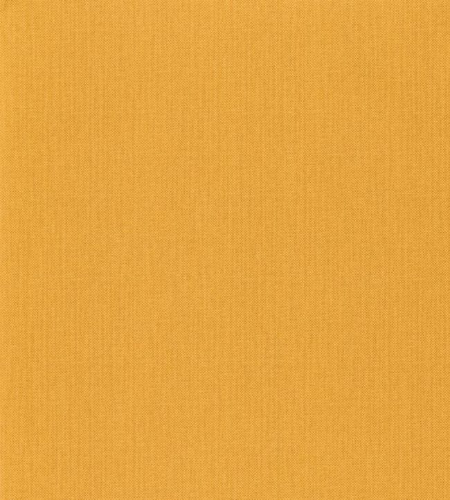Papel de Parede Importado