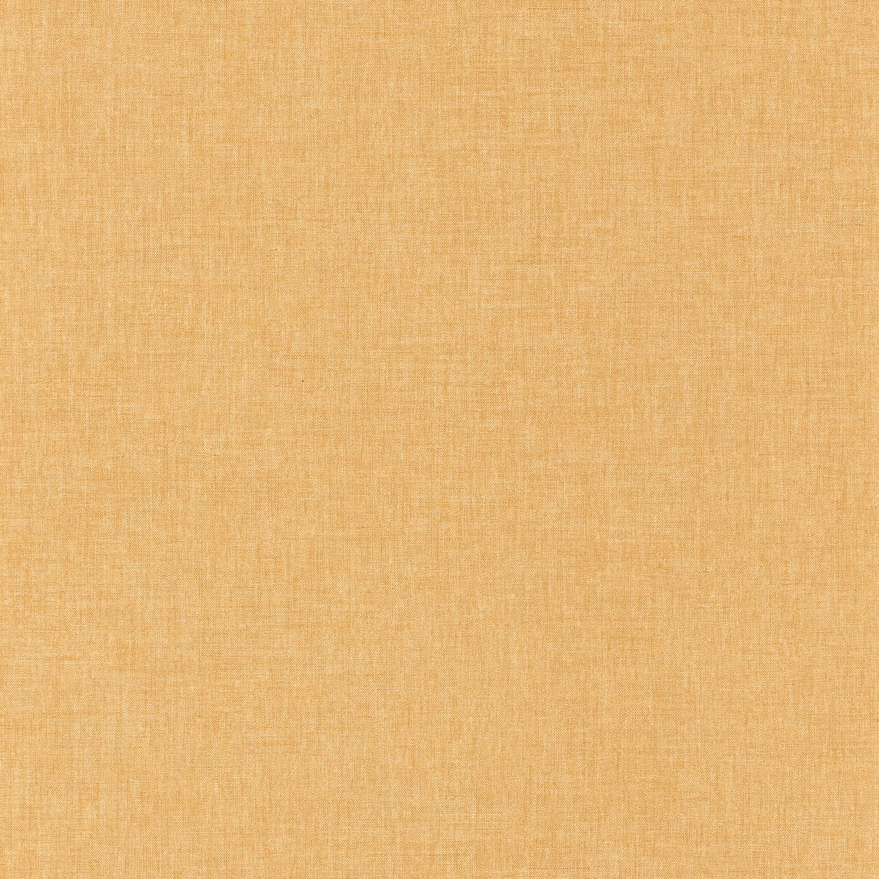 Papel de Parede Importado