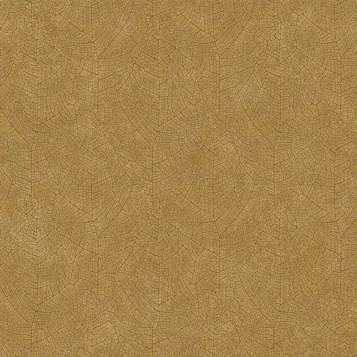 Papel de Parede Importado