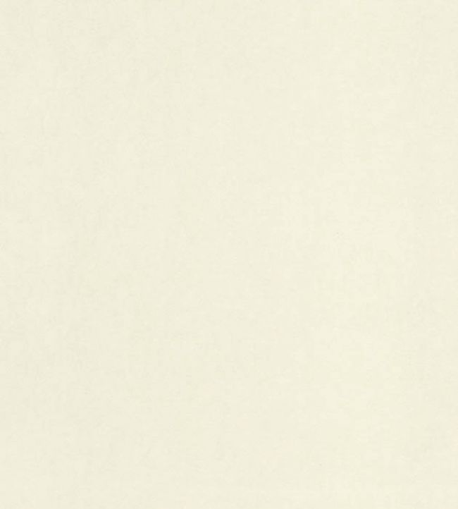 Papel de Parede Importado