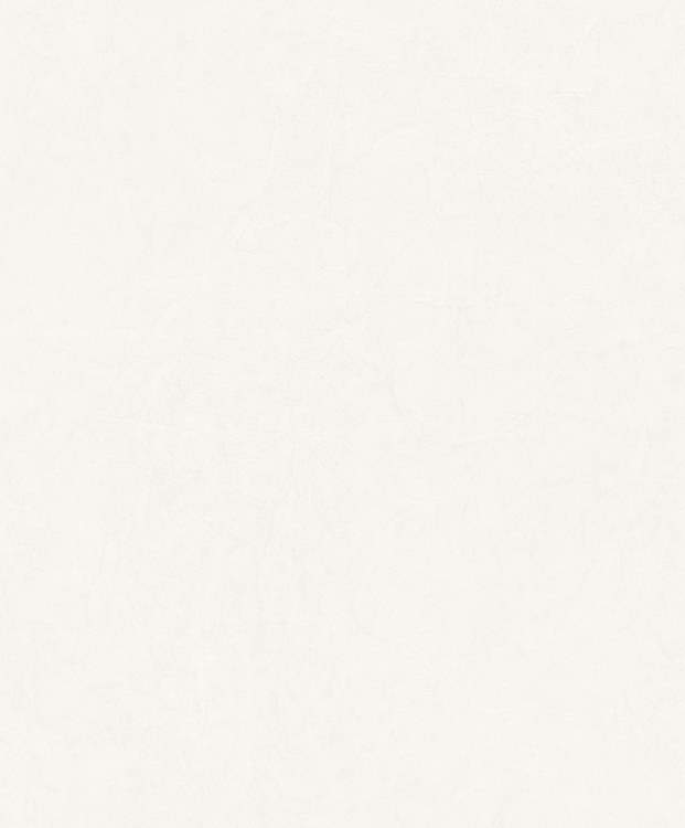 Papel de Parede Importado