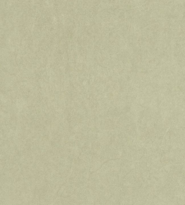 Papel de Parede Importado
