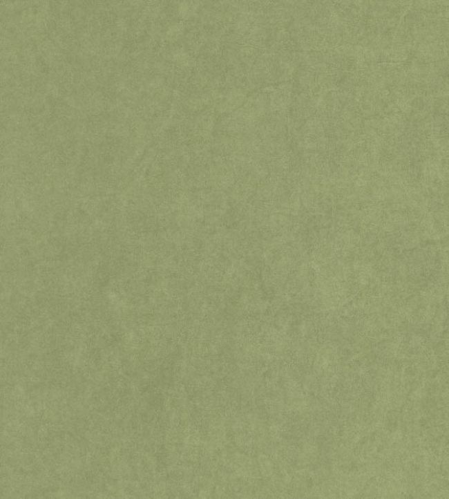 Papel de Parede Importado