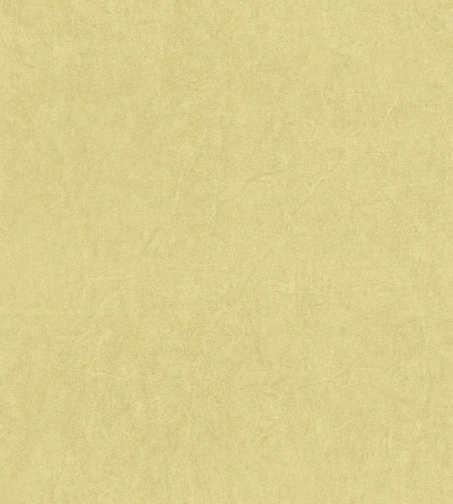 Papel de Parede Importado