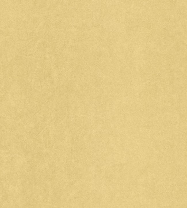 Papel de Parede Importado