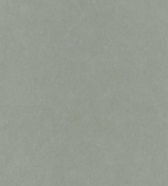 Papel de Parede Importado