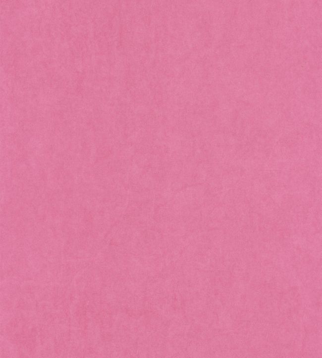 Papel de Parede Importado