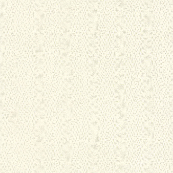 Papel de Parede Importado