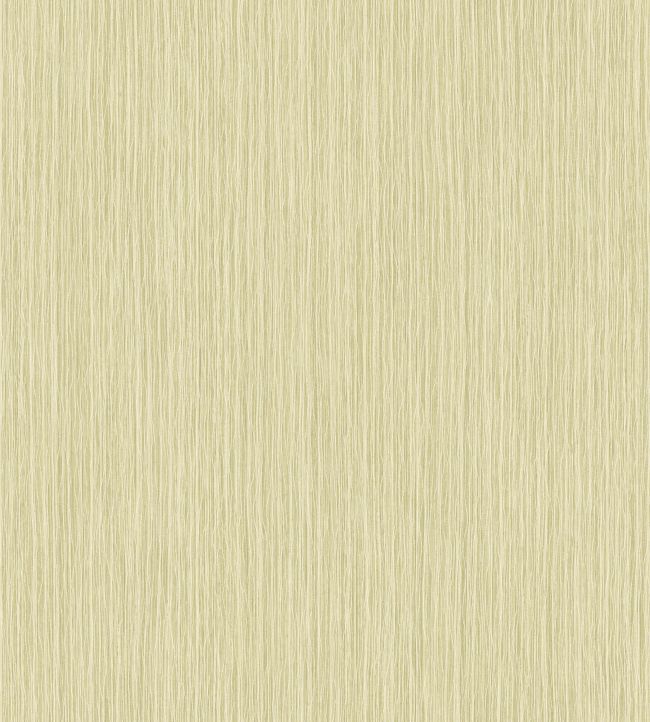 Papel de Parede Importado