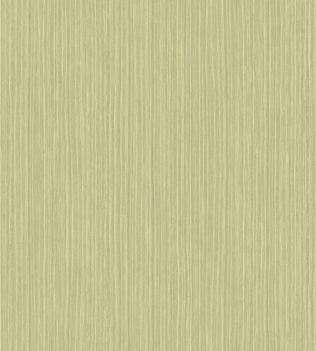 Papel de Parede Importado