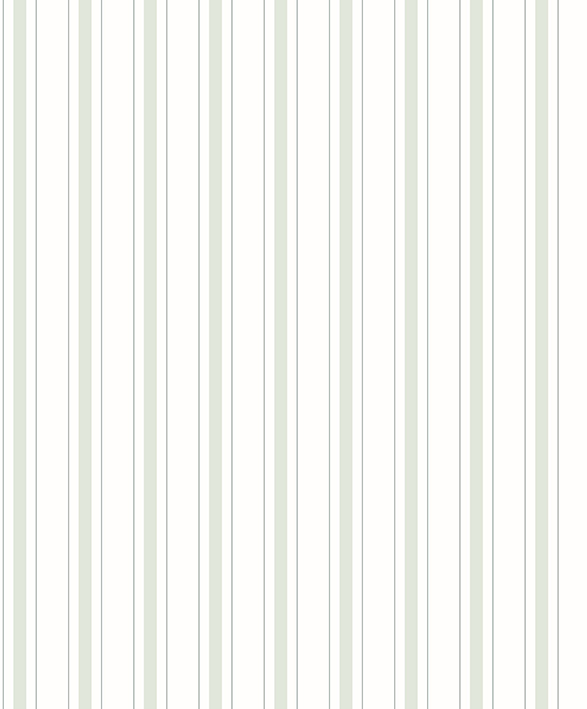 Papel de Parede Importado