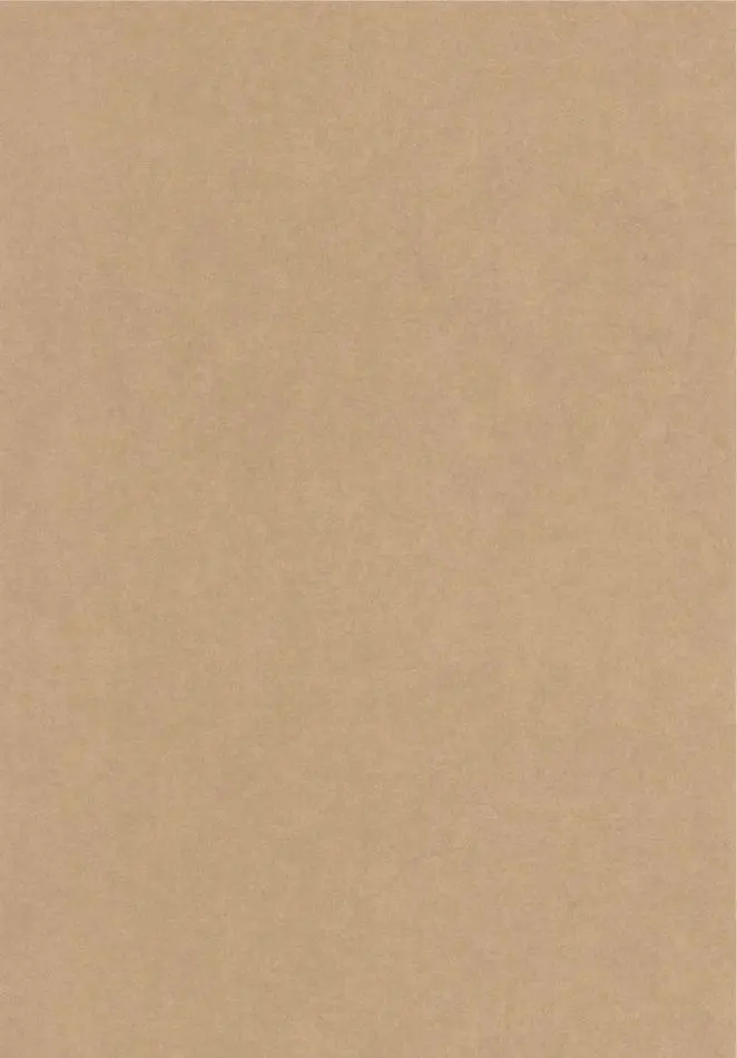 Papel de Parede Importado