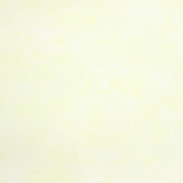 Papel de Parede Importado