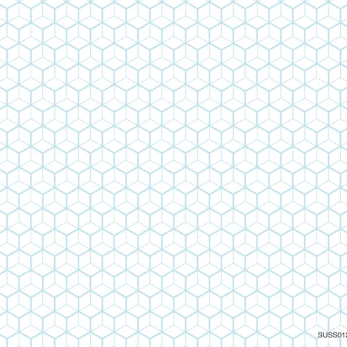 Papel de Parede Importado