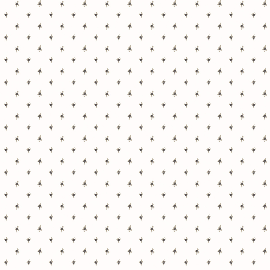 Papel de Parede Importado