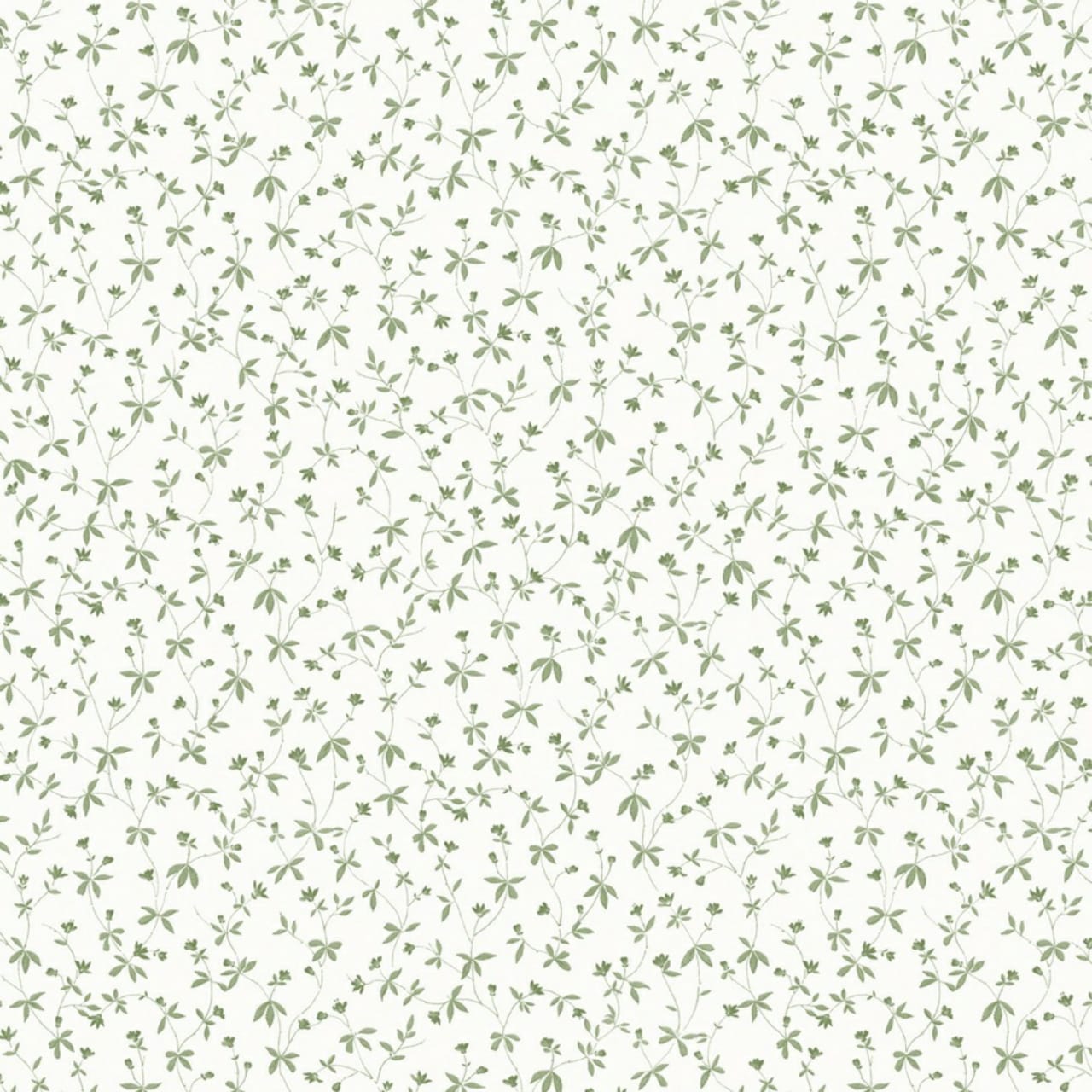 Papel de Parede Importado