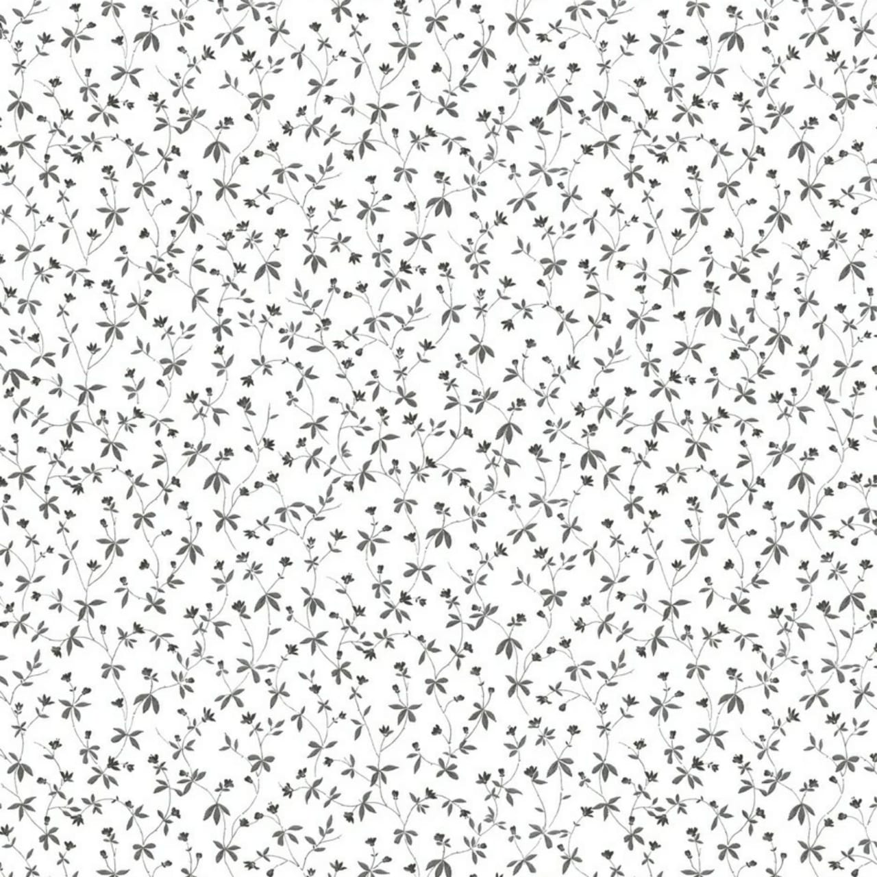 Papel de Parede Importado