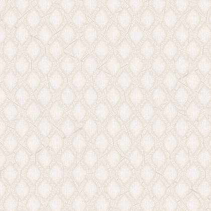 Papel de Parede Importado