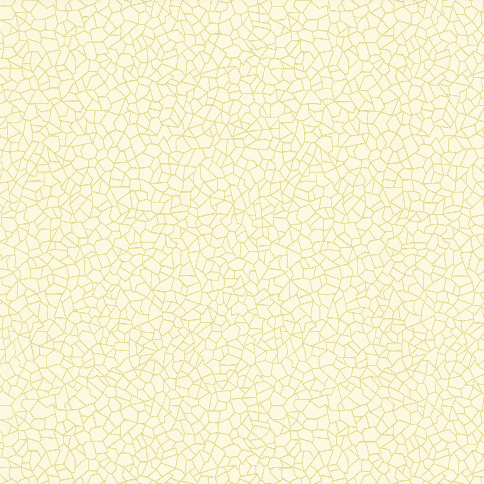 Papel de Parede Importado