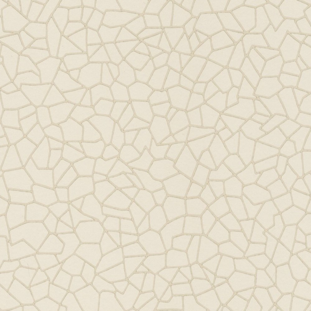 Papel de Parede Importado