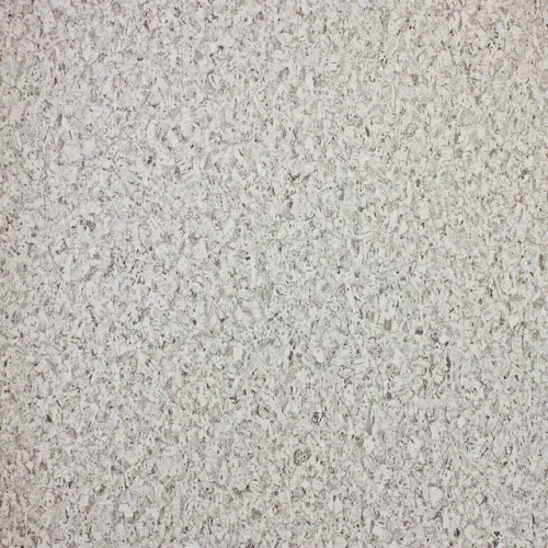 20000202026P132