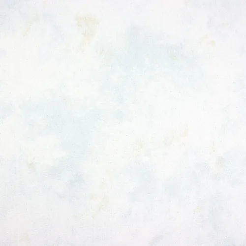 20000202026P14