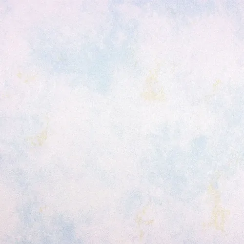 20000202026P15