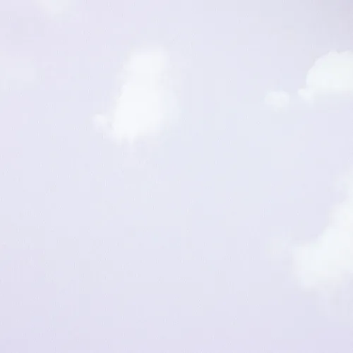 20000202026P17