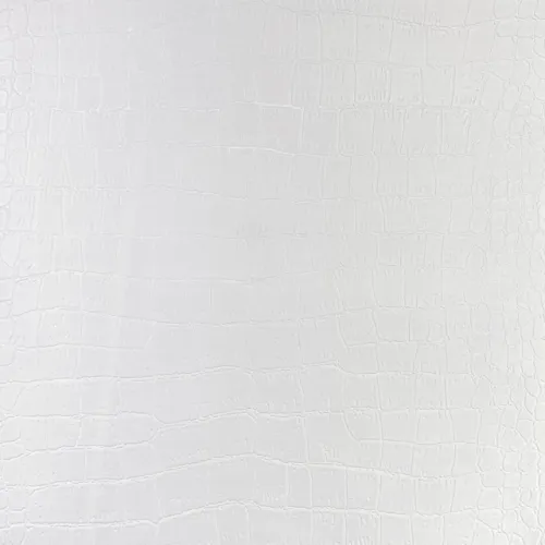 20000202026P247
