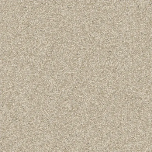 20000202026P289