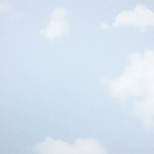 20000202026P29