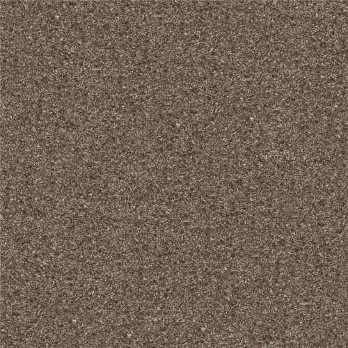 20000202026P290