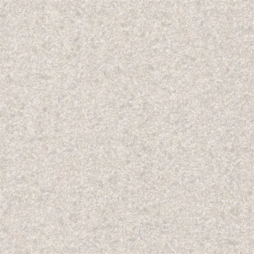 20000202026P295