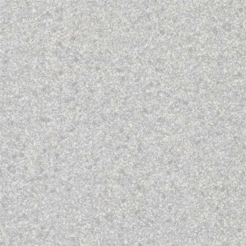20000202026P296
