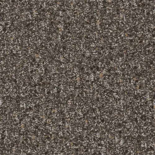 20000202026P298