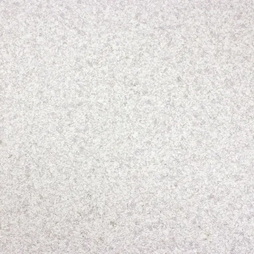 20000202026P58