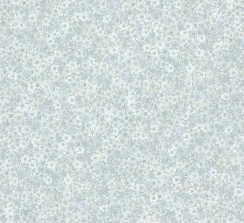 200020000202026P17