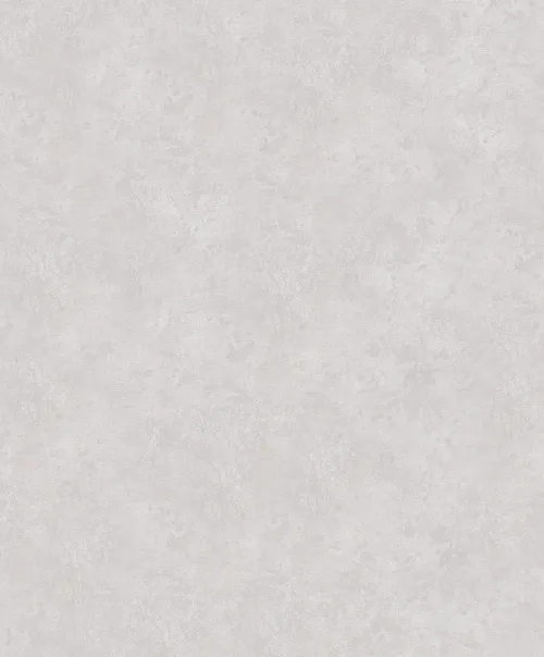 200020000602026P64