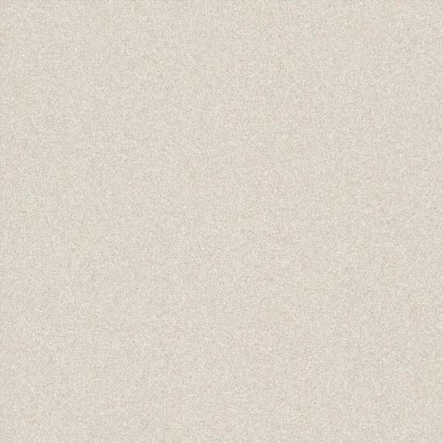 9878981P220