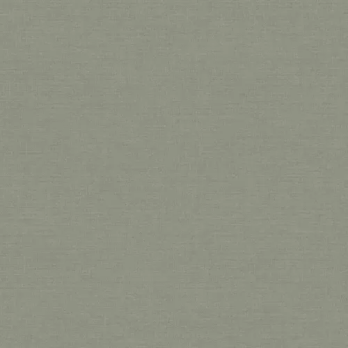 9878981P424